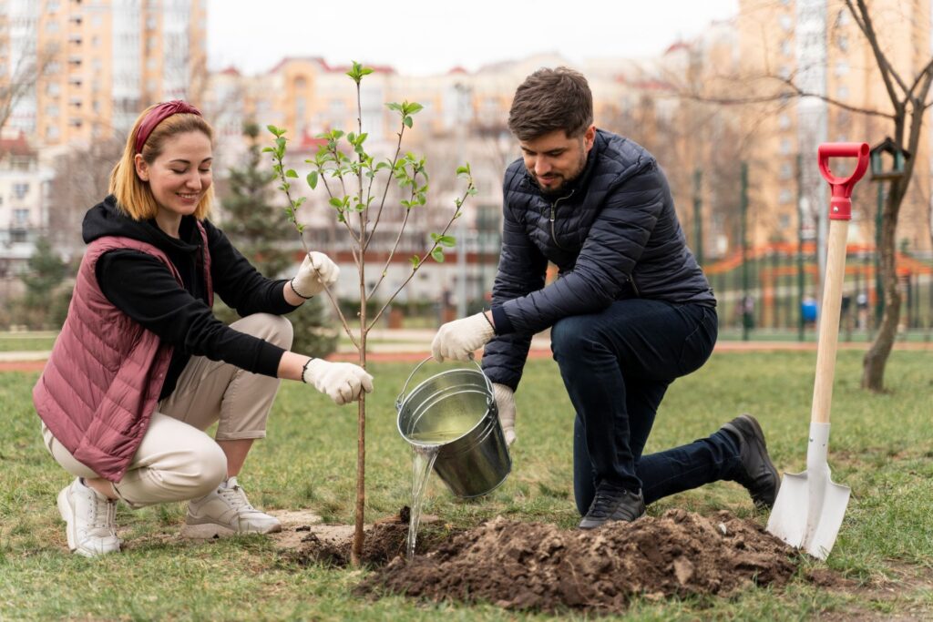 organizacje pozarządowe